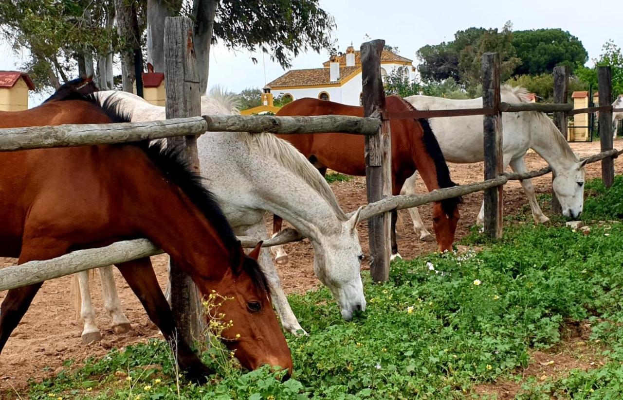 Posada Rural La Corbera Utrera Zewnętrze zdjęcie