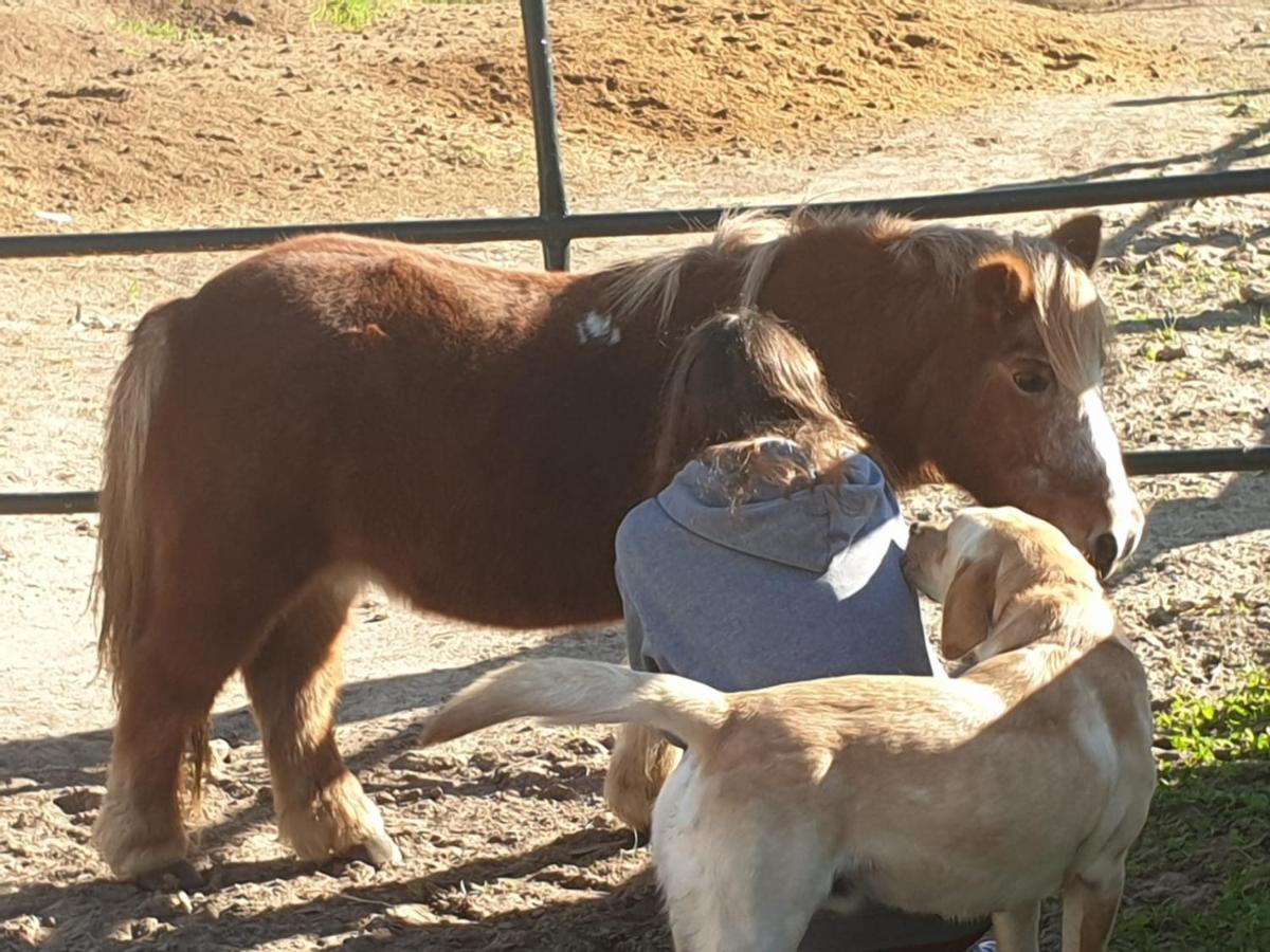 Posada Rural La Corbera Utrera Zewnętrze zdjęcie