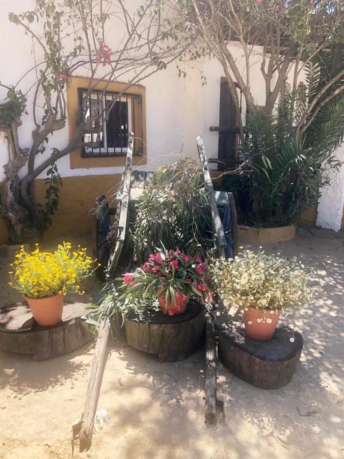 Posada Rural La Corbera Utrera Zewnętrze zdjęcie