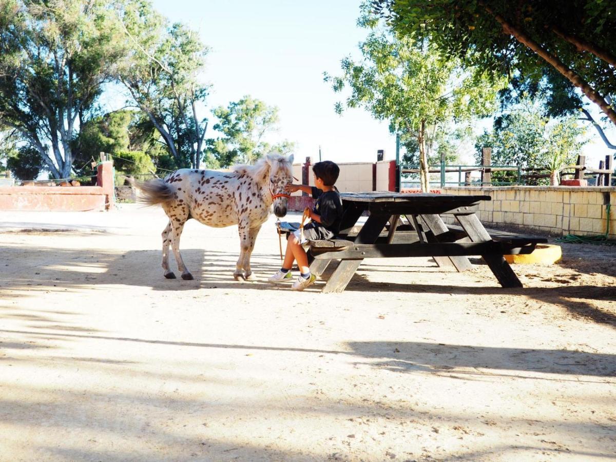Posada Rural La Corbera Utrera Zewnętrze zdjęcie